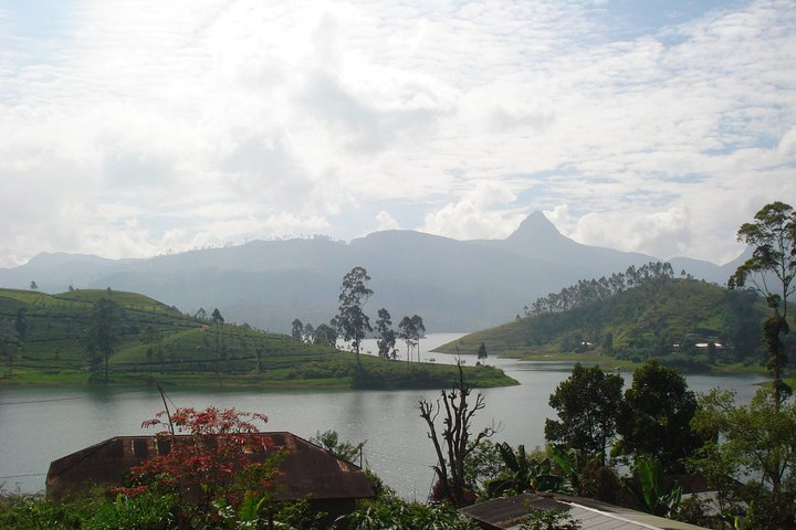 Sri Pada Mountain and Ella Train Journey from Kandy City - Photo 1 of 9